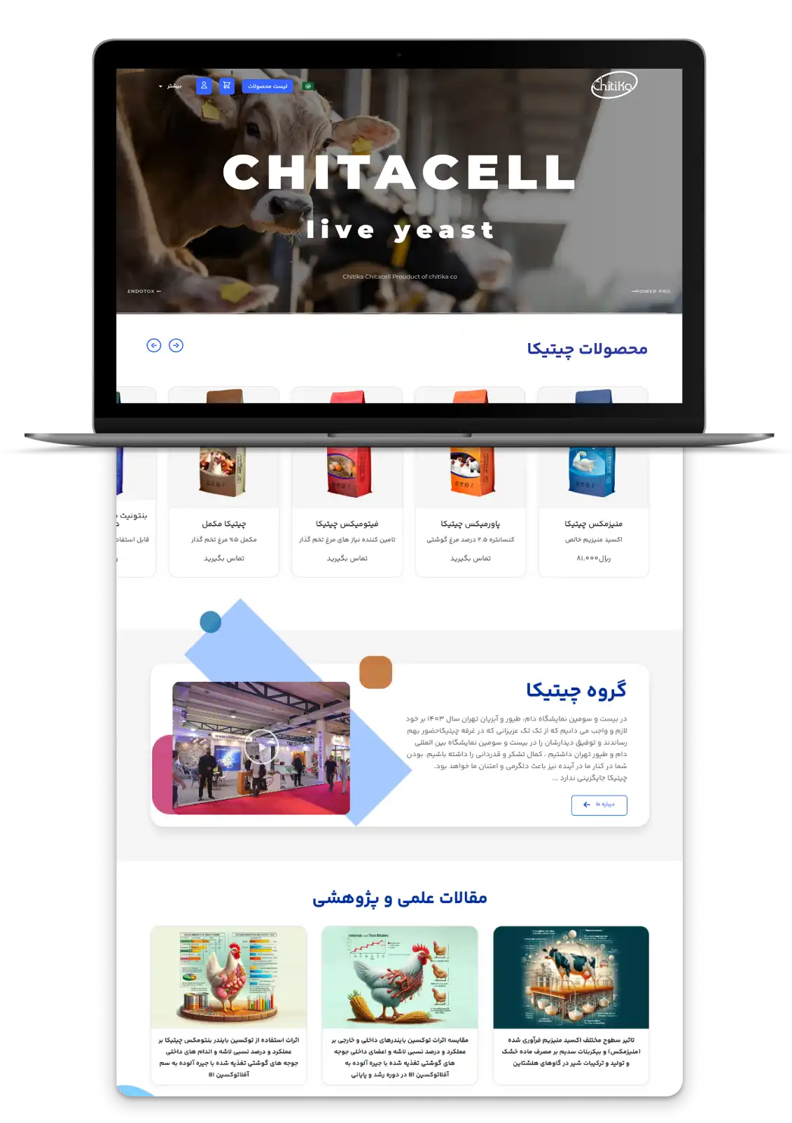 about-section-chitika